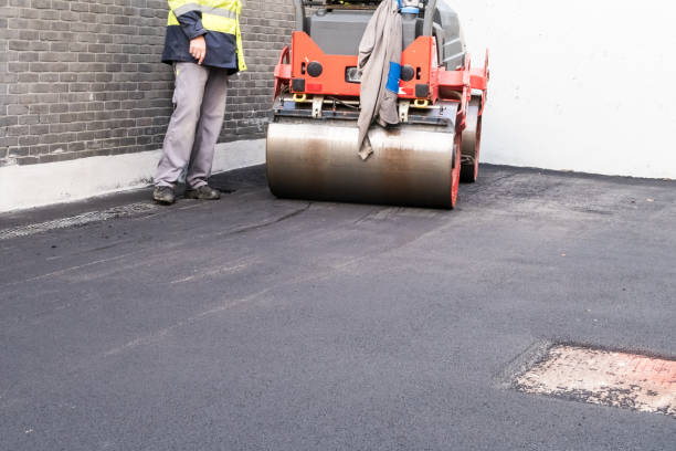 Driveway Pressure Washing in Lacombe, LA